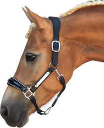 Bridlery Eternity Lederhalfter für Warmblut Pferde – Bild 1 von 1