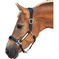 Produktbild von Bridlery Eternity Lederhalfter für Warmblut Pferde
