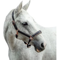 Produktbild von Bridlery Eternity Lederhalfter für Pferde in Braun