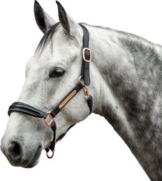 Produktbild von Bridlery Eternity Lederhalfter für Pferde in Schwarz