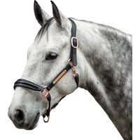 Produktbild von Bridlery Eternity Lederhalfter für Pferde in Schwarz