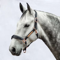 Produktbild von Bridlery Eternity Lederhalfter für Pferde in Schwarz