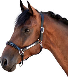 Produktbild von Bridlery Eternity Lederhalfter für Warmblut Pferde in Schwarz