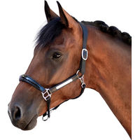 Produktbild von Bridlery Eternity Lederhalfter für Warmblut Pferde in Schwarz