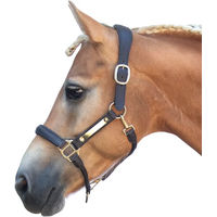 Produktbild von Bridlery Eternity Lederharness für Vollblut Pferde in Braun oder Schwarz
