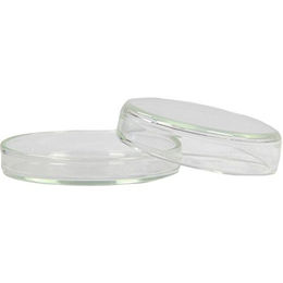 Brinkmann Medical Petrischale 6 cm 1 Stück – Bild 1 von 1