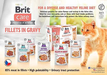 Brit Care Katzen Nassfutter Lachs getreidefrei und glutenfrei 85 g – Bild 1 von 3