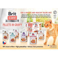 Produktbild von Brit Care Katzen Nassfutter Lachs getreidefrei und glutenfrei 85 g