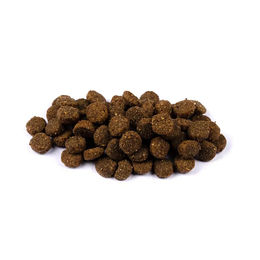 Brit Fresh Hundefutter Adult Huhn mit Stückchen in Gelee 12 kg - 12 kg – Bild 1 von 4