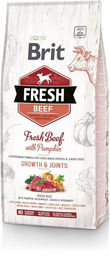 Brit Fresh Hundefutter Welpe Große Rassen Rind mit Kürbis 2,5 kg - 2,5 kg – Bild 1 von 6