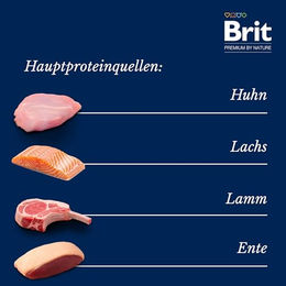 Produktbild von Brit Premium Nassfutter für sterilisierte Katzen Adult Stückchen in Soße 12 x 100 g Multipack - 12 x 100 g