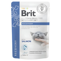 Brit Veterinary Diet Cat Recovery Nassfutter Fillets in Gravy für erwachsene Katzen 12x85 g – Bild 1 von 2