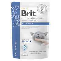 Produktbild von Brit Veterinary Diet Cat Recovery Nassfutter Fillets in Gravy für erwachsene Katzen 12x85 g
