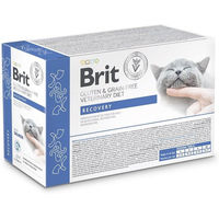 Produktbild von BRIT Veterinary Diet Grain Free Recovery Katzen Nassfutter Lachs in Sauce 12x85g für Katzen in der Rekonvaleszenz