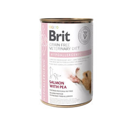 BRIT Veterinary Diet Hund Nassfutter Lamm Getreidefrei Hypoallergen Gastrointestinal 6 x 400 g – Bild 1 von 1