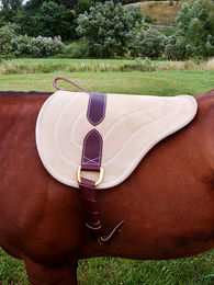 Produktbild von Brockamp Bareback Pad aus Leder in Beige