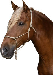 Brockamp Horse-Man Knotenhalfter für Kaltblut Pferde aus Polyester – Bild 1 von 2