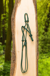 Produktbild von Brockamp Knotenhalfter Standard Seil Grün