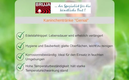 Produktbild von BRUJA Trinkflasche Orange für Kaninchen, Meerschweinchen und Hamster mit Edelstahl-Trinkröhrchen