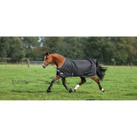 Produktbild von Bucas Anniversary Turnout 115 Outdoordecke für Pferde Schwarz Silber 50g