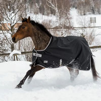 Produktbild von Bucas Anniversary Turnout Light Weidedecke für Pferde Schwarz/Silber 120 cm