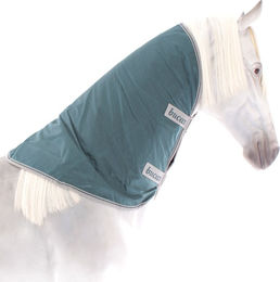 Bucas Atlantic Combi Neck Halsdecke für Pferde Grün Größe M - 300 g – Bild 1 von 3