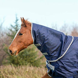 Bucas Atlantic Combi Neck Halsteil für Pferde in Navy Blau Größe XS - 50 g – Bild 1 von 8