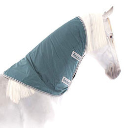 Bucas Atlantic CombiNeck Pferdedecke Halsteil aus Nylon in Grün Größe L - 50 g – Bild 1 von 5