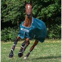 Produktbild von Bucas Atlantic Turnout 200g Weidedecke für Pferde Grün Größe 155 - 155 cm