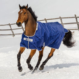 Bucas Atlantic Turnout Big Neck Pferdedecke aus Nylon in Blau – Bild 1 von 1
