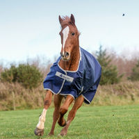 Produktbild von Bucas Atlantic Turnout Pferdedecke aus Nylon in Dunkelblau Größe 120 - 400 g