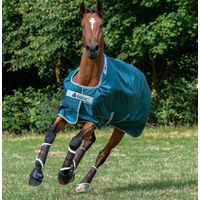 Produktbild von Bucas Atlantic Turnout Weidedecke Outdoordecke 200g Green Größe 110