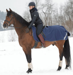 Bucas Ausreitdecke für Pferde XL Navy/Silber – Bild 1 von 7