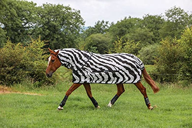 Bucas Buzz-Off Fliegendecke Zebra Full-Neck für Pferde 115 cm – Bild 1 von 9