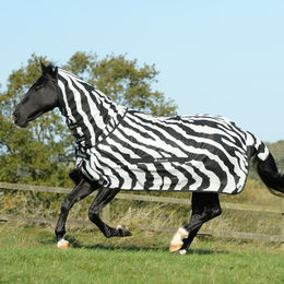 Bucas Buzz-Off Fliegendecke Zebra Full Neck für Pferde 165 cm – Bild 1 von 12