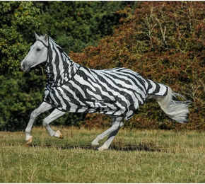 Bucas Buzz-Off Zebra Fliegendecke für Pferde mit Halsabdeckung Größe 120 - 1 Stk. – Bild 1 von 11