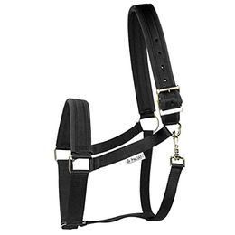 Bucas Comfort Halfter für Pony in Schwarz – Bild 1 von 5