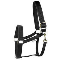 Produktbild von Bucas Comfort Halfter für Pony in Schwarz