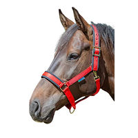 Produktbild von Bucas Comfort Halfter XFull für Pferde in Rot Schwarz Größe XL