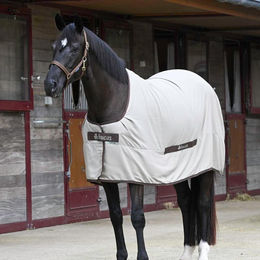 Produktbild von Bucas Cool Sheet Linen Pferdedecke aus Leinen