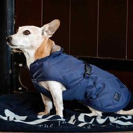 Bucas Cosy Dog Rug Hundemantel – Bild 1 von 2