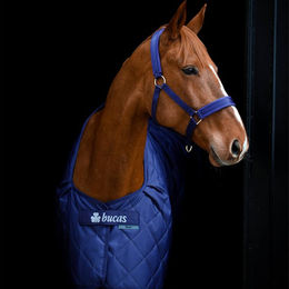 Produktbild von Bucas Cosy Stable Pferdedecke Blau 100g