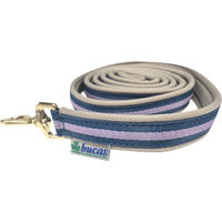 Produktbild von Bucas Dublin Gepolsterte Hundeleine Rein Blueberry 2 Meter