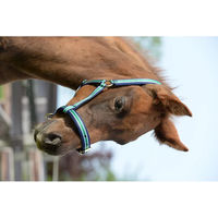 Produktbild von Bucas Dublin Halfter für Fohlen aus Neopren in Blau mit Silber