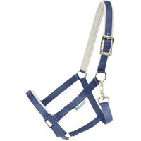 Produktbild von Bucas Dublin Halfter für Fohlen aus Nylon in Blau