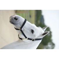 Produktbild von Bucas Dublin Halfter für Warmblut in Schwarz