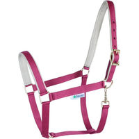 Produktbild von Bucas Dublin Nylonhalfter für Pferde Berry/Silver Full
