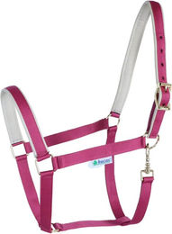Bucas Dublin Nylonhalfter für Ponys in Berry/Silver – Bild 1 von 1