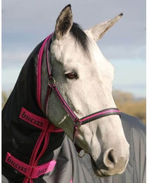 Bucas Dublin Nylonhalfter für Ponys in Charcoal Anthrazit – Bild 1 von 1