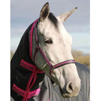 Produktbild von Bucas Dublin Nylonhalfter für Ponys in Charcoal Anthrazit